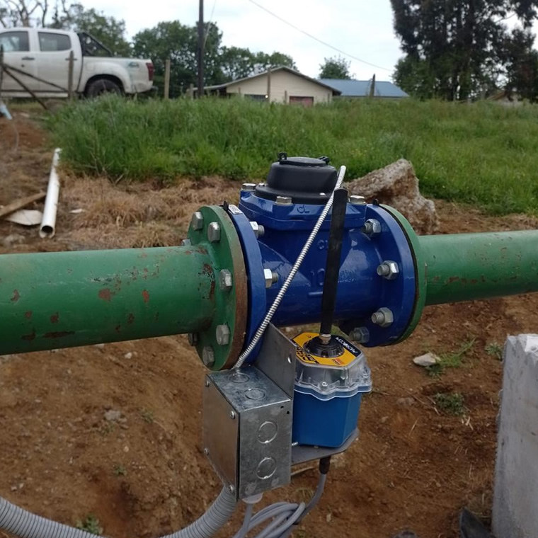 Imagen lateral