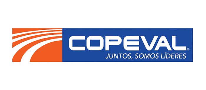 Logo Footer