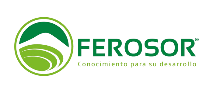 Logo Footer