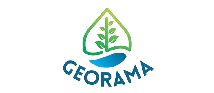 Logo Footer
